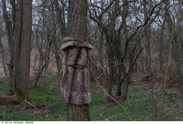 Fur Coat in a Forest